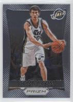 Gordon Hayward