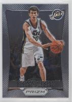 Gordon Hayward