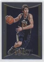 Gordon Hayward