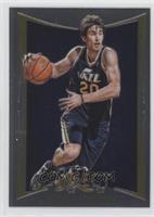 Gordon Hayward