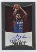 Lavoy Allen #/399