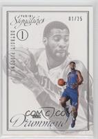 Andre Drummond #/25