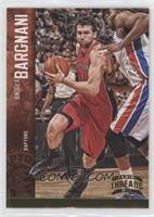 Andrea Bargnani #/25