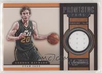 Gordon Hayward #/149