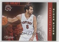 Jose Calderon #/249