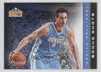 Danilo Gallinari #/249