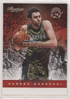 Andrea Bargnani [EX to NM]