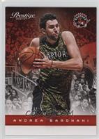 Andrea Bargnani