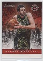 Andrea Bargnani