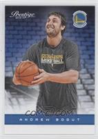 Andrew Bogut