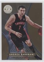 Andrea Bargnani #/25