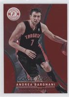 Andrea Bargnani #/499