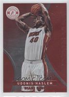 Udonis Haslem #/499
