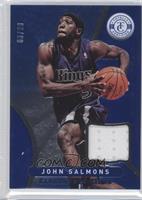 John Salmons #/99