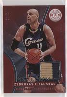 Zydrunas Ilgauskas #/49