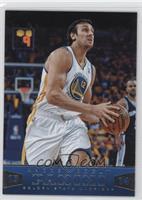 Andrew Bogut