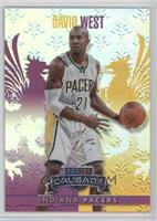 David West #/49