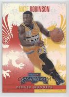 Nate Robinson #/349