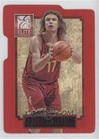 Anderson Varejao #/17