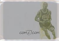 Scottie Pippen #/1