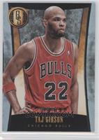 Taj Gibson #/10