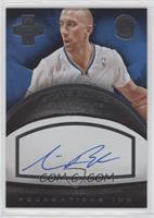 Steve Blake #/199