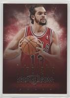 Joakim Noah