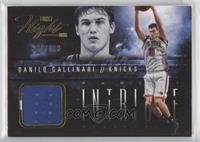 Danilo Gallinari #/199