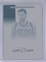 Andrea Bargnani #/1