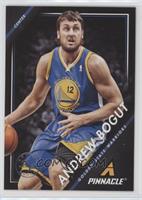 Andrew Bogut