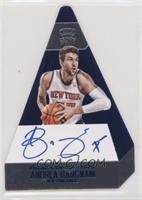 Panini's Choice - Andrea Bargnani #/20