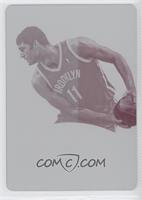 NBA Pride - Brook Lopez #/1