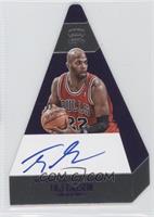 Panini's Choice - Taj Gibson #/15