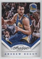 Andrew Bogut