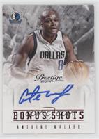 Antoine Walker #/50