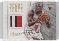 Luol Deng #/25