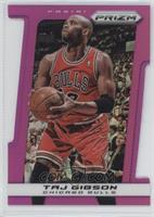 Taj Gibson #/49