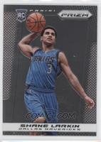 Shane Larkin