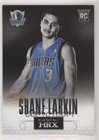 Shane Larkin