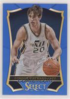 Gordon Hayward #/49