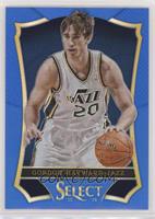 Gordon Hayward #/49