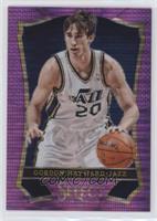 Gordon Hayward #/99