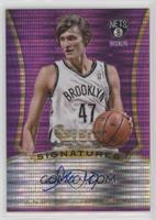 Andrei Kirilenko #/25