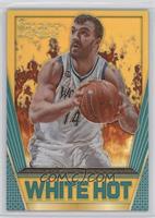 Nikola Pekovic #/10