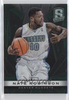 Nate Robinson #/199