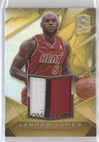 LeBron James #/10