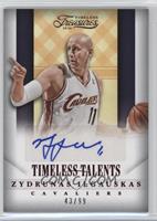 Zydrunas Ilgauskas #/99