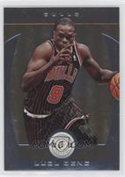 Luol Deng  #/25