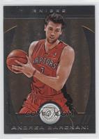 Andrea Bargnani #/25