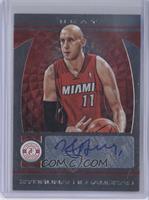 Zydrunas Ilgauskas #/99